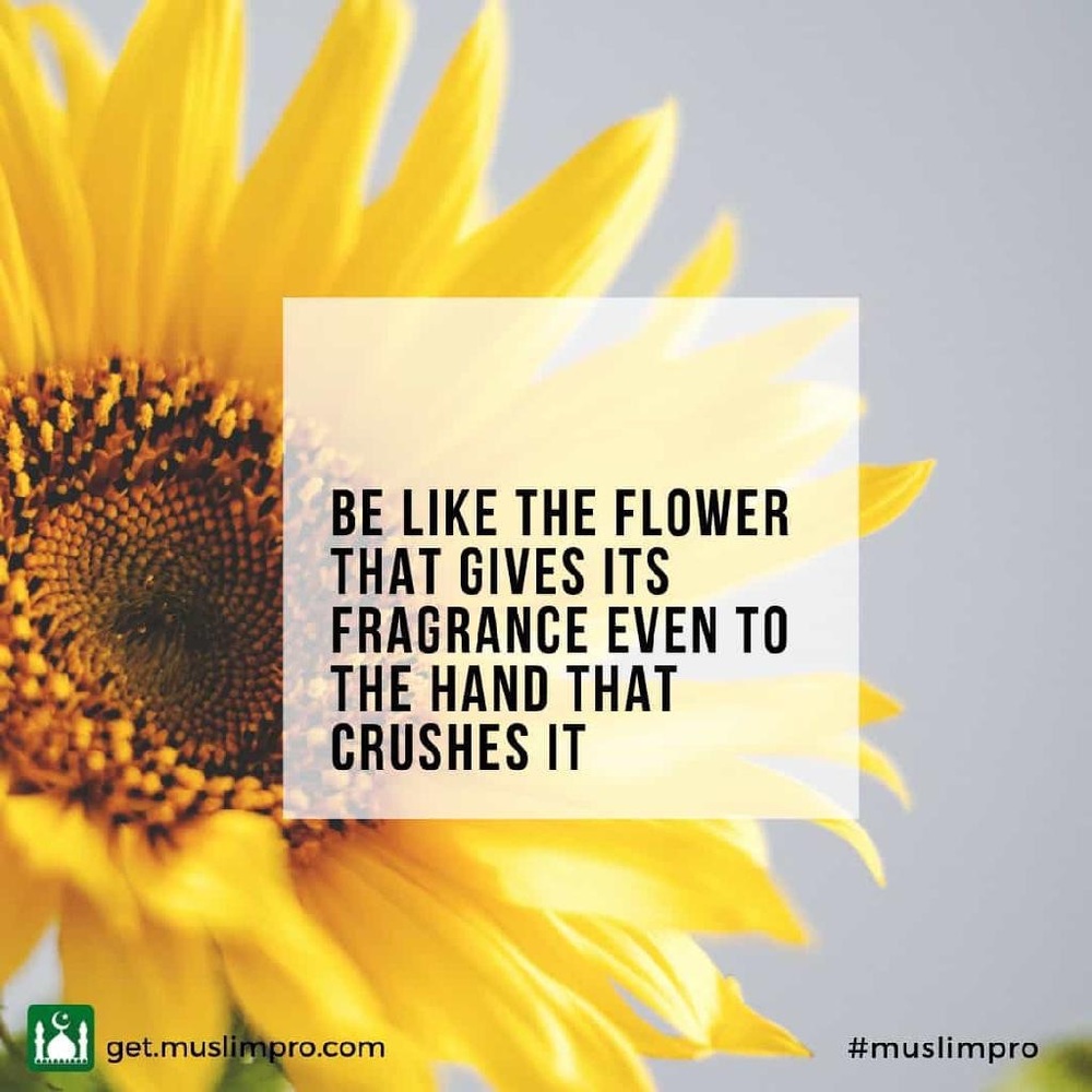 Meet your Posher, Chanelle